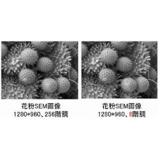 画像技術のデジタル化理論の提案